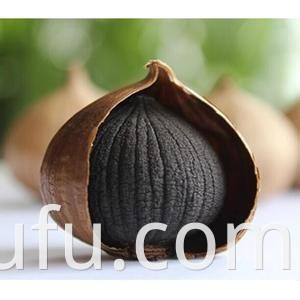 Black Garlic Cooker/Multifunctional Cooker/Rice Cooker